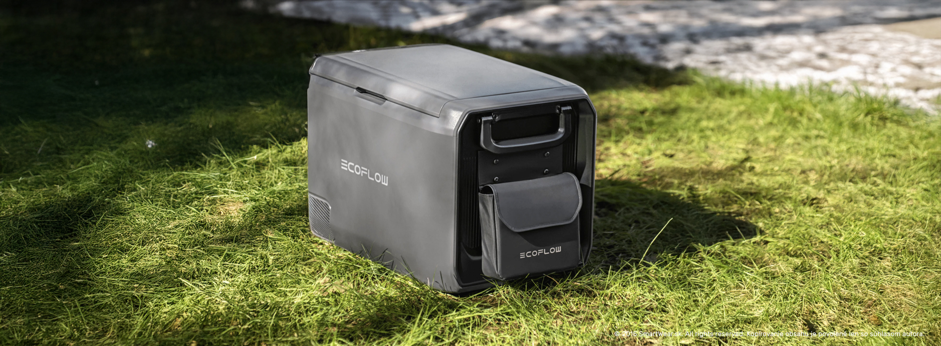 EcoFlow GLACIER Classic Detachable Storage Bag  ss2